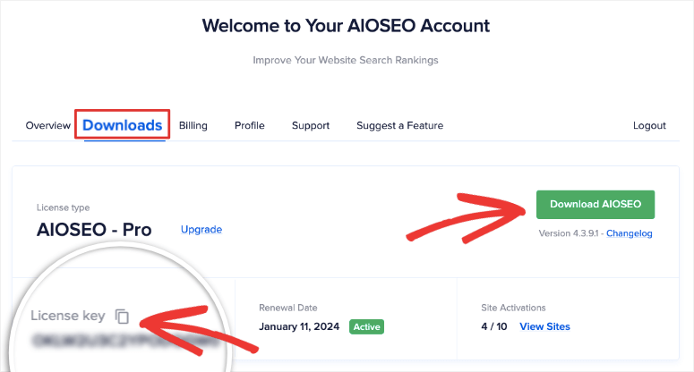 Download AIOSEO pro plugin