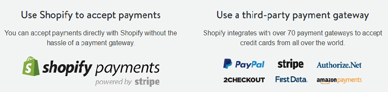 Shopify payments