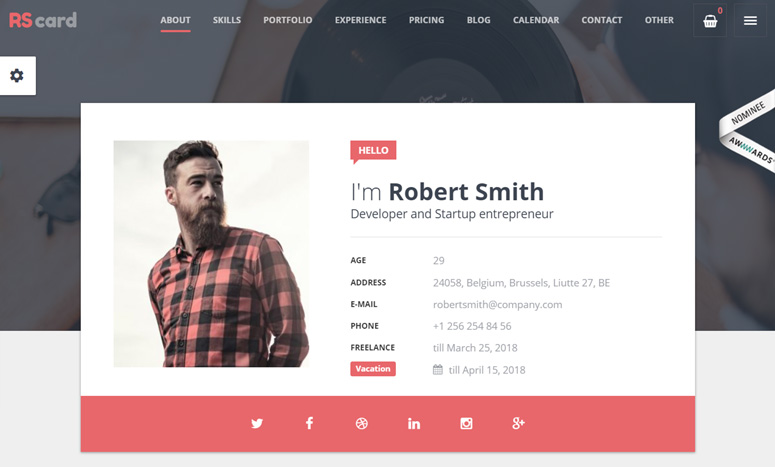 resume-cv-and-vcard-theme-wordpress