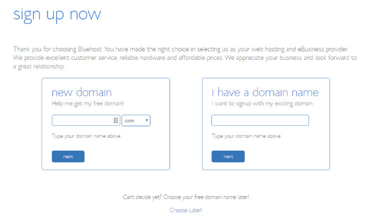Bluehost Choose Domain