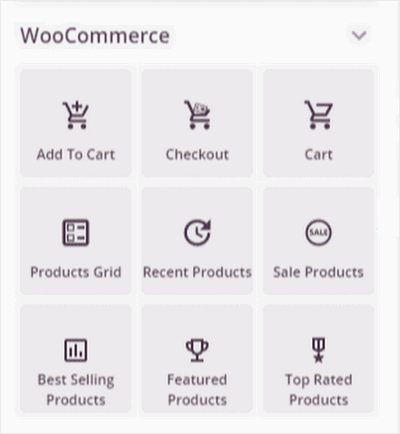 woocommerce-fields-seedprod