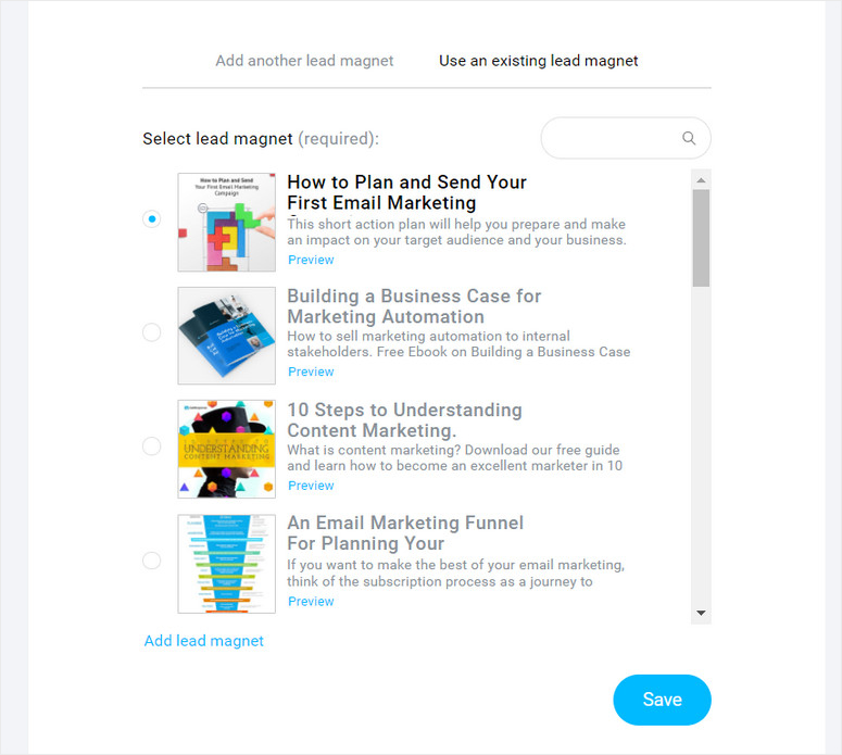 choose lead magnet