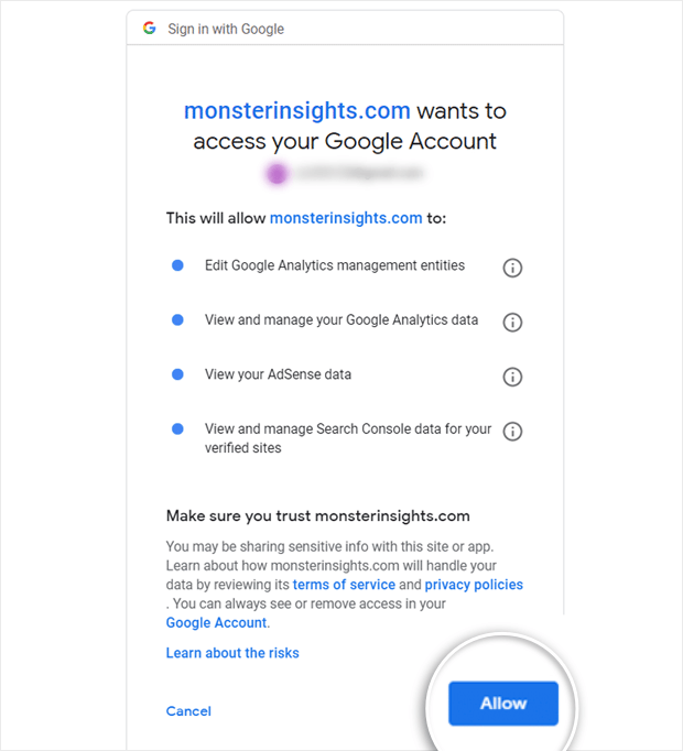 grant monsterinsights permissions