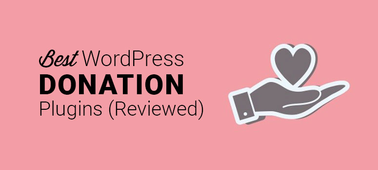 best wordpress donation plugins