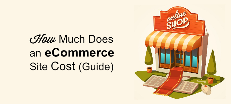 ecommerce site setup cost