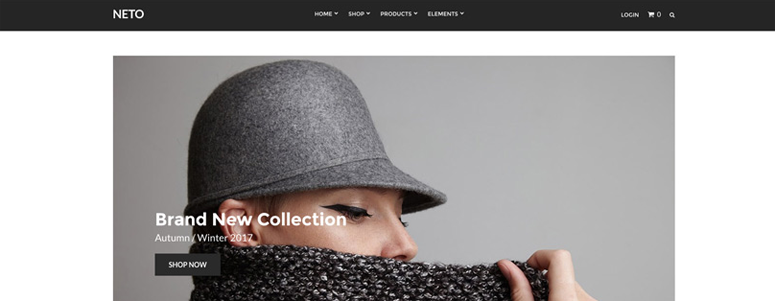 Neto - IsItWP - Détecteur de thèmes WordPress gratuit Neto