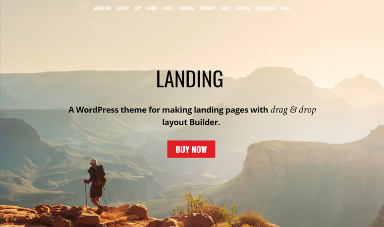 themify-landing-theme