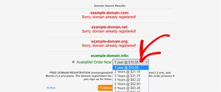 Domain registration period