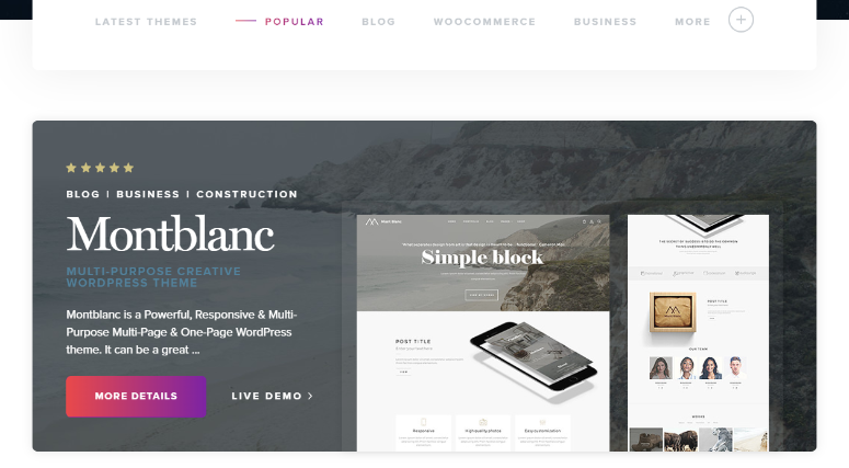 TeslaThemes WordPress themes