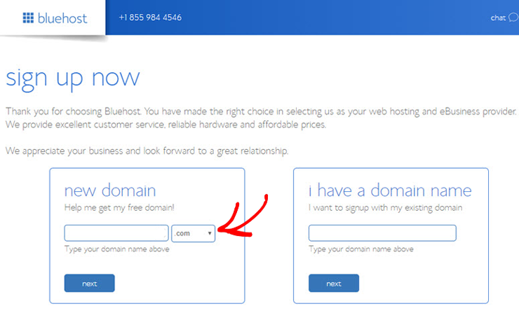 bluehost-choose-a-domain