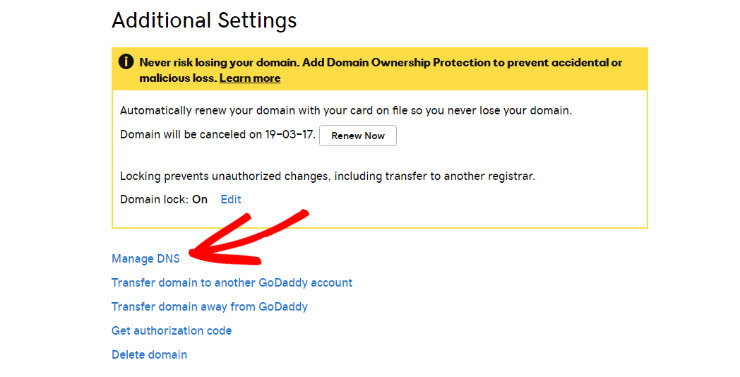 manage-dns-godaddy
