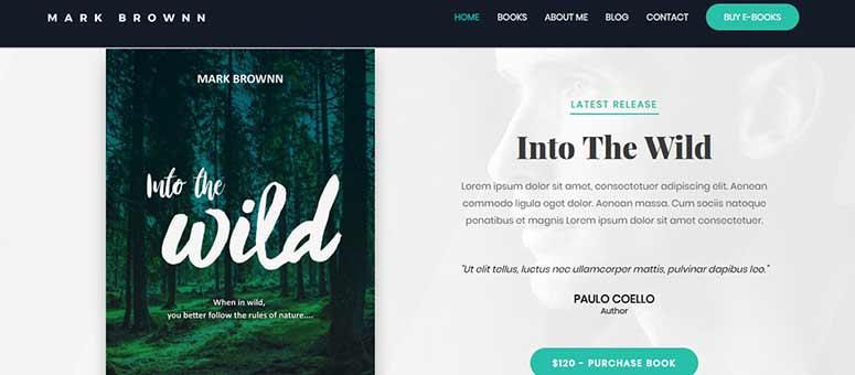 Astra Theme - IsItWP - Détecteur de thèmes WordPress gratuit Astra Theme