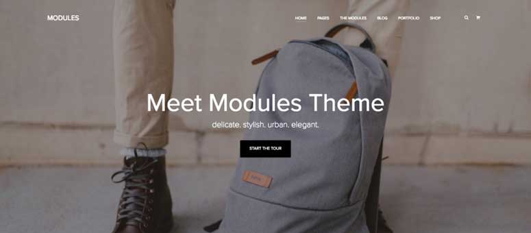 Modules - IsItWP - Détecteur de thèmes WordPress gratuit Modules