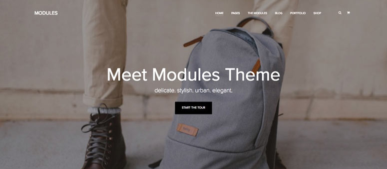 Modules - IsItWP - Détecteur de thèmes WordPress gratuit Modules