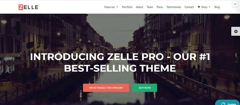 Zelle Pro, amazon affiliates theme