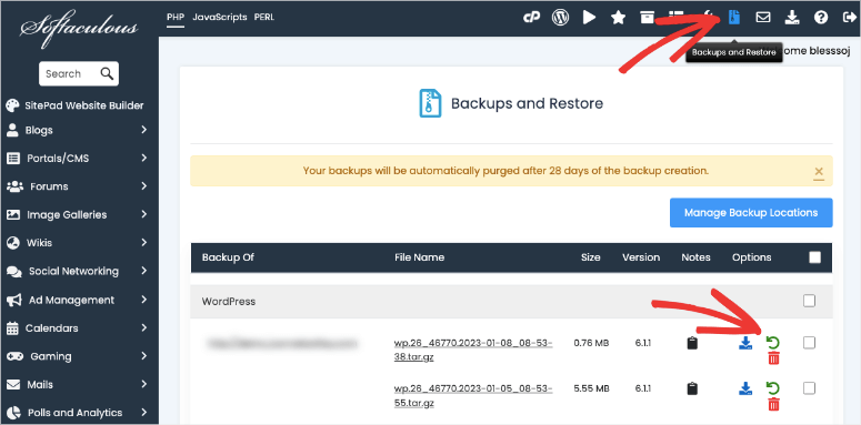 softaculous backup and restore