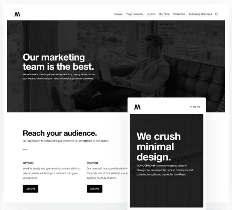 Monochrome Pro, wordpress themes for graphic designers