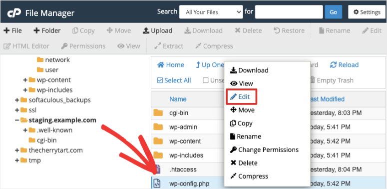 edit wpconfig file in staging