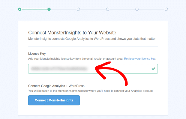 enter license key in monsterinsights