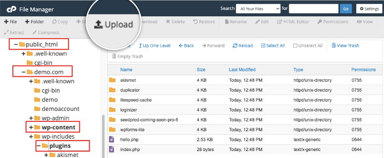 upload plugin in cpanel file manager