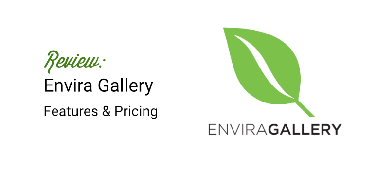 envira gallery review