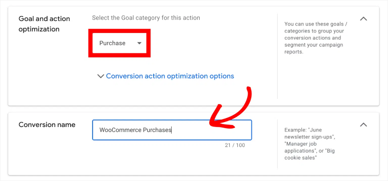 goolge ads conversion goal category and name