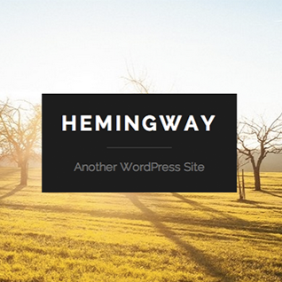 Hemingway Review