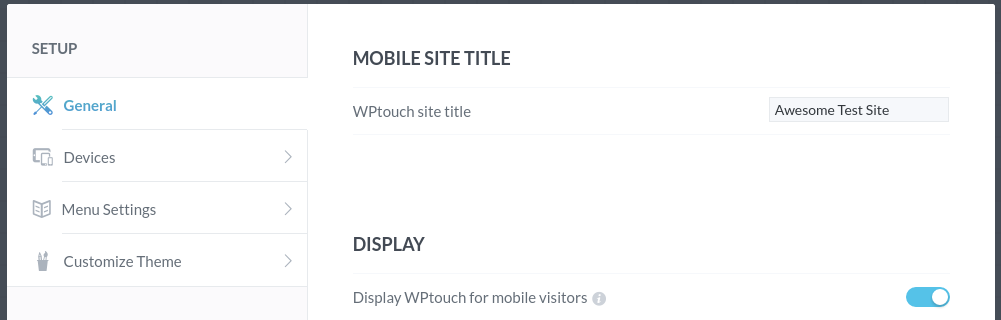 WPtouch Review - setup
