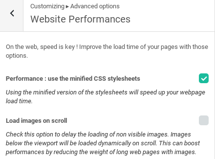 Customizr Review - performance settings