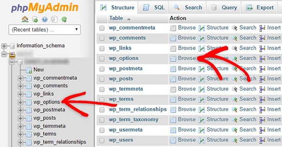 browse wp_options to upload wordpress website from localhost to cpanel