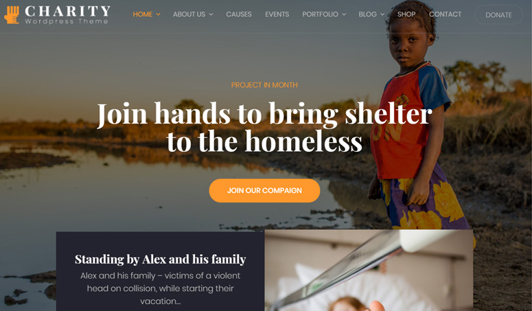 charity-wp-theme