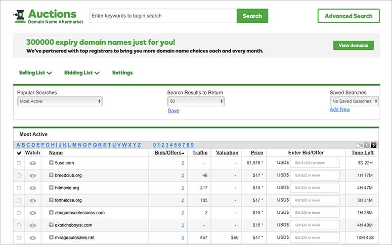 Domain bids