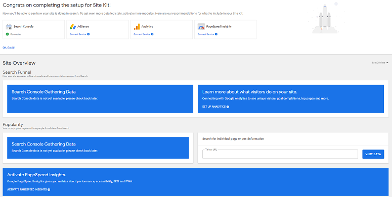  Google Site Kit Dashboard