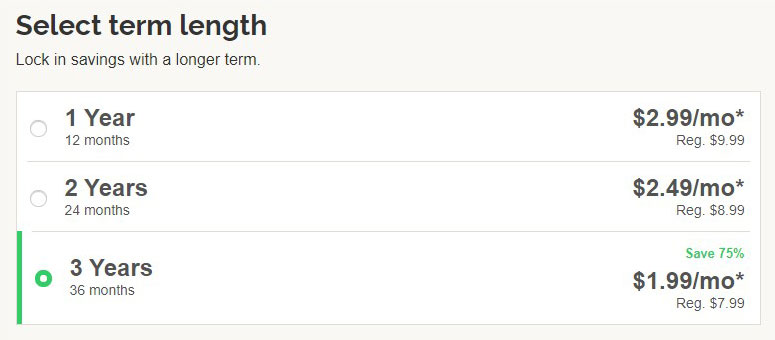 iPage Price term length