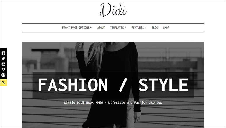 Didi Best minimalist WordPress themes