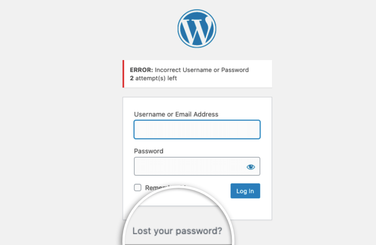 Lost password in WordPress