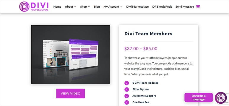 Divi Team Members