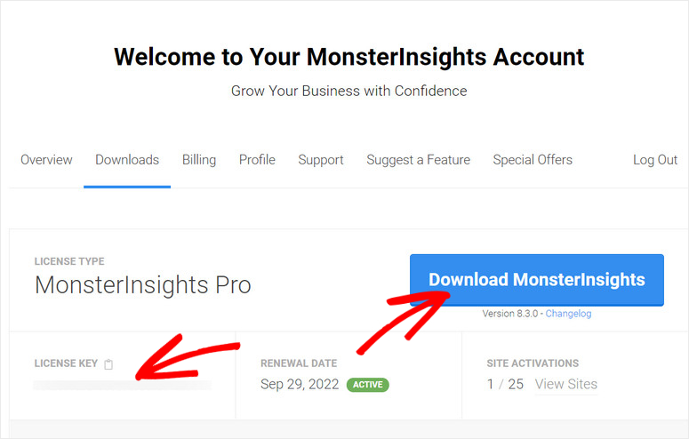 license-key-monsterinsights - IsItWP - Detetor de temas WordPress gratuito license-key-monsterinsights