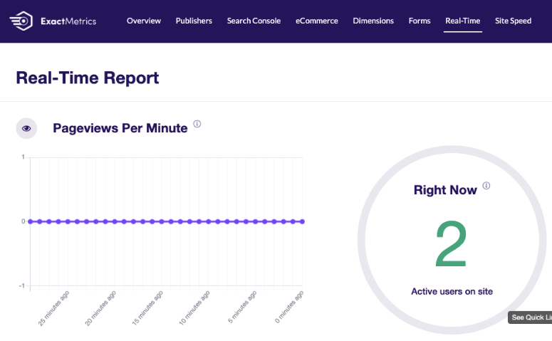 ExactMetrics realtime report