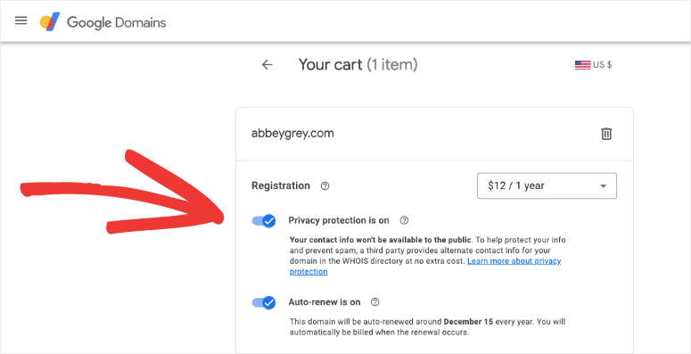 google domains privacy protection - IsItWP - Detetor de temas WordPress gratuito Google Domains privacy protection