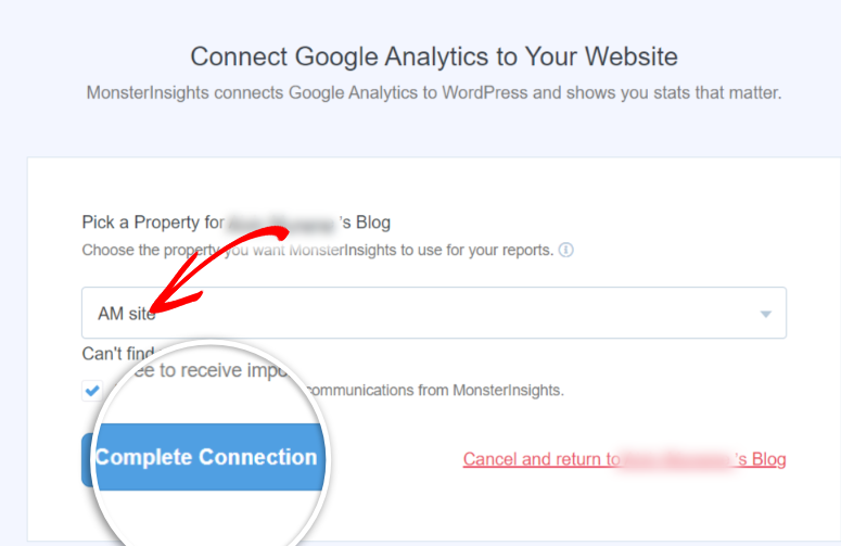 monsterinsights complete connection