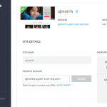 managed wordpress control panel