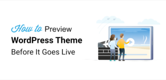 how to preview a wordpress theme