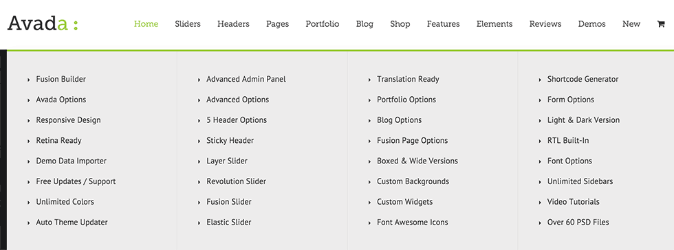 Avada Features