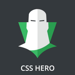 CSS Hero review by our experts