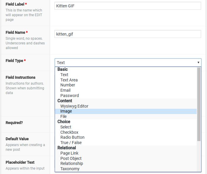 Advanced Custom Fields Review From Our Experts IsItWP