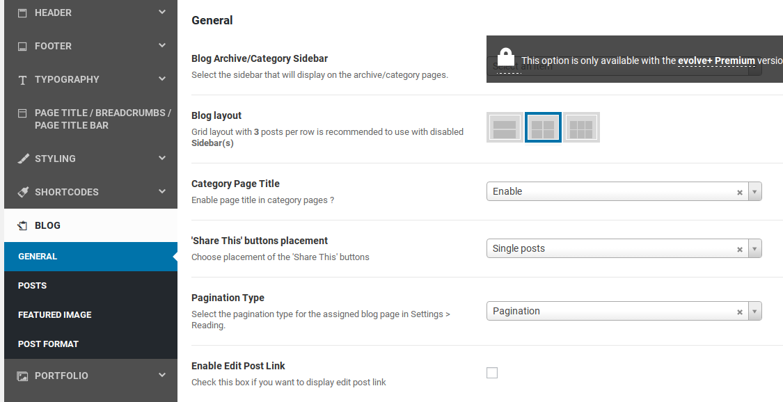 Evolve Review - blog layout options