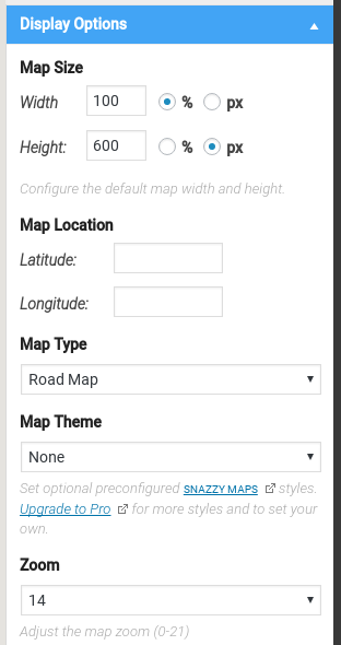 Google Maps Builder Review - display options