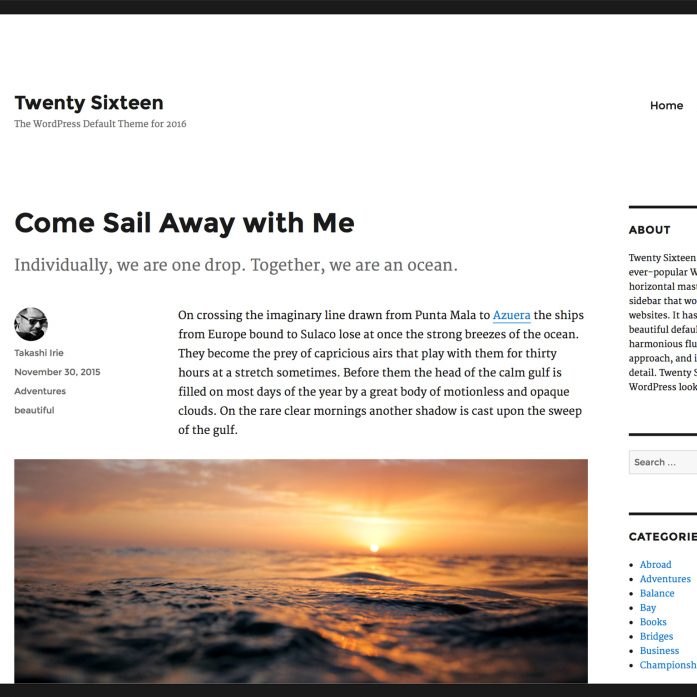 Twenty Sixteen Review