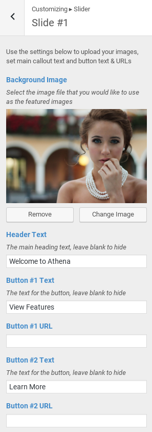 Athena Review - slide options